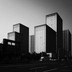 Window Film - Premium