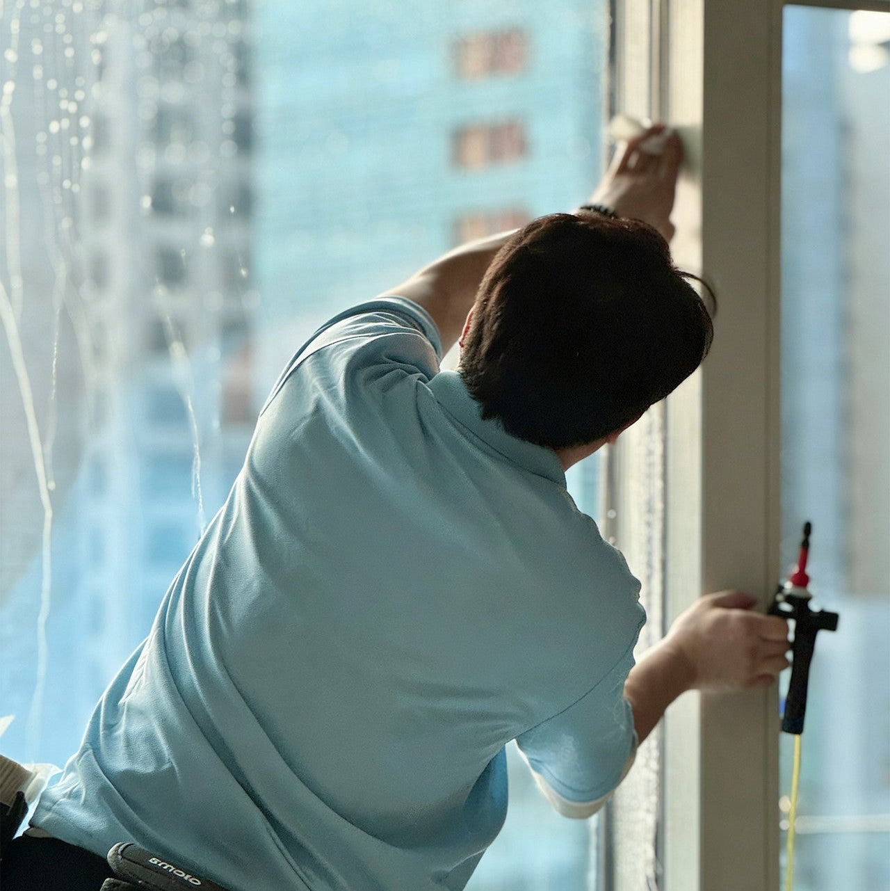 Window Film - Signature